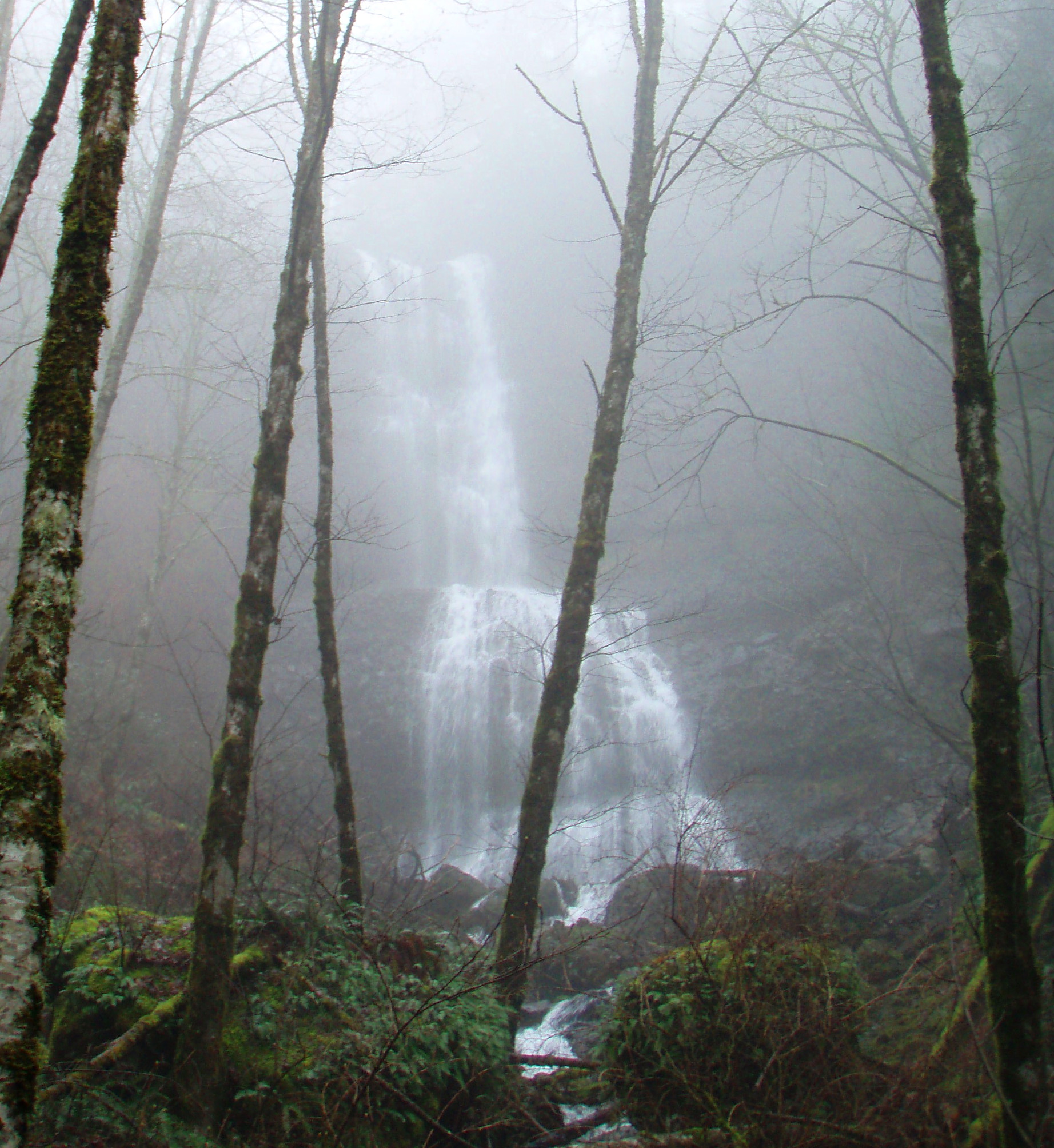 Cedar Falls